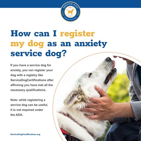 How can i register my dog as a service dog. Things To Know About How can i register my dog as a service dog. 